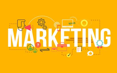 La importancia del marketing veterinario. Ideas y consejos para tu clínica