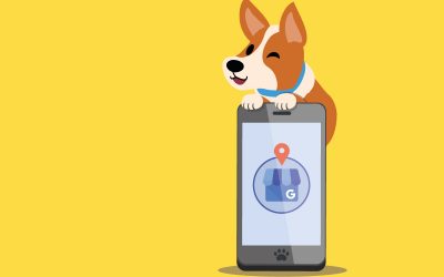 Google My Business, herramienta esencial para tu clínica veterinaria