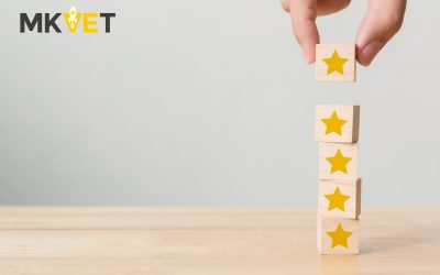 Cómo conseguir reseñas en Google My Business