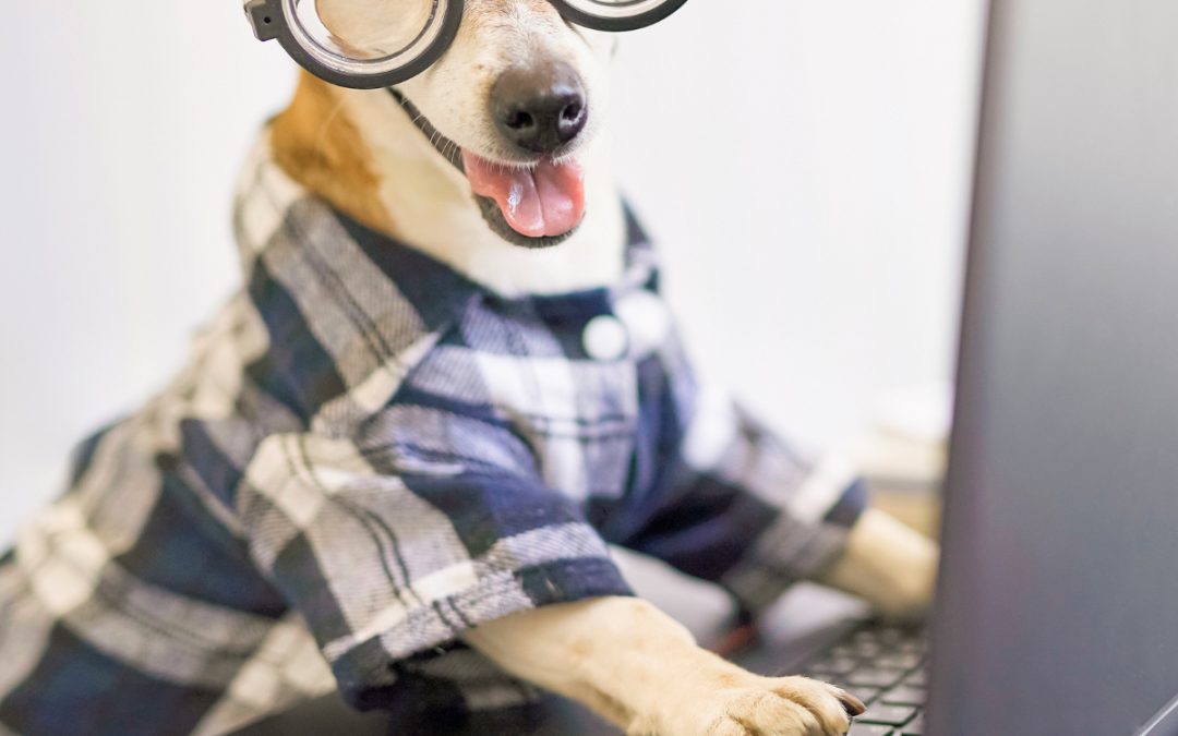 Redes Sociales para veterinarios: Conoce las mejores estrategias para aumentar tu presencia en internet