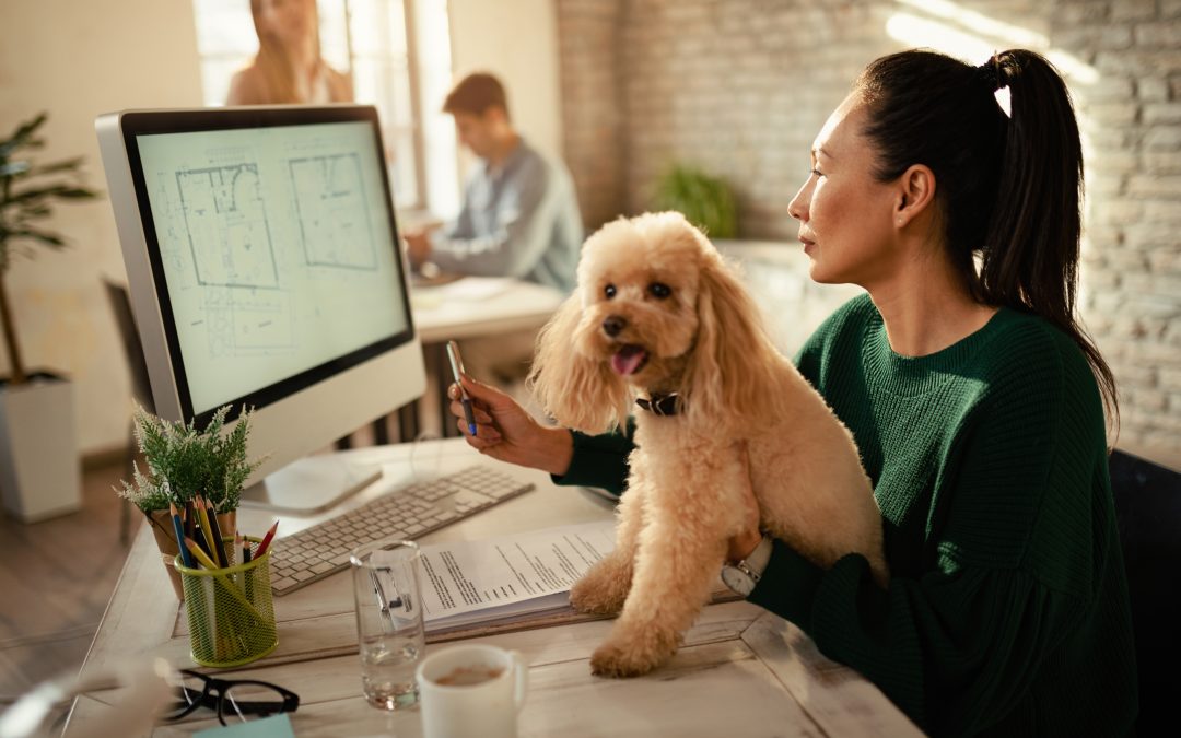 El Papel del SEO en la Atracción de Nuevos Clientes para tu Clínica Veterinaria
