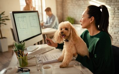 El Papel del SEO en la Atracción de Nuevos Clientes para tu Clínica Veterinaria