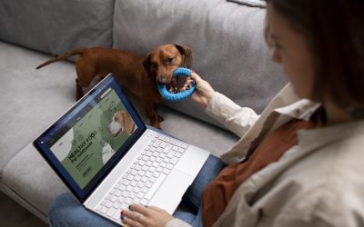 Cómo Atraer a Más Clientes a tu Clínica Veterinaria con Email Marketing
