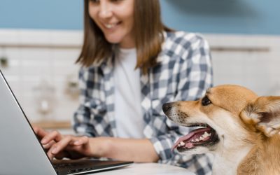 5 Razones por las que tu Clínica Veterinaria Necesita Marketing Digital