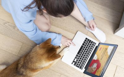 Cómo Crear un Sitio Web Efectivo para tu Clínica Veterinaria