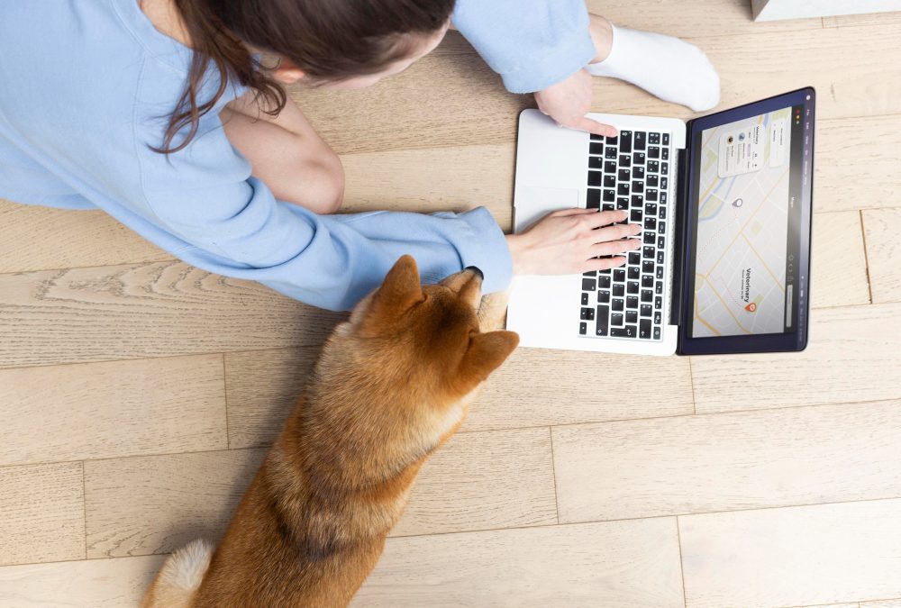 Estrategias de Contenido para Redes Sociales en Clínicas Veterinarias: Cómo Destacar y Atraer Clientes