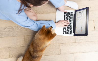 Estrategias de Contenido para Redes Sociales en Clínicas Veterinarias: Cómo Destacar y Atraer Clientes